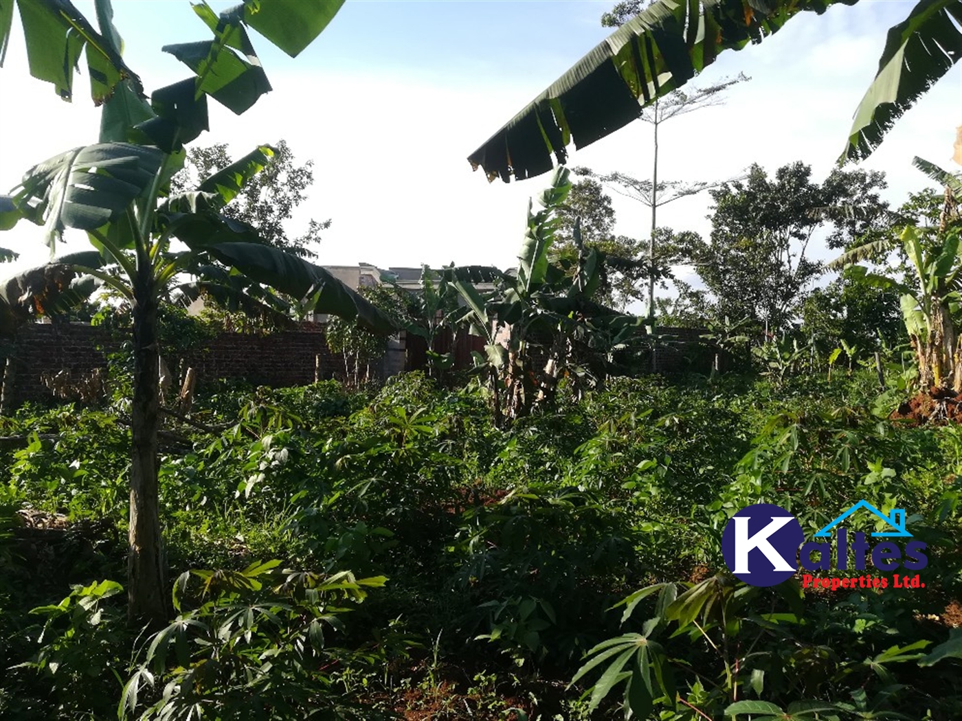 Residential Land for sale in Kyetume Mukono