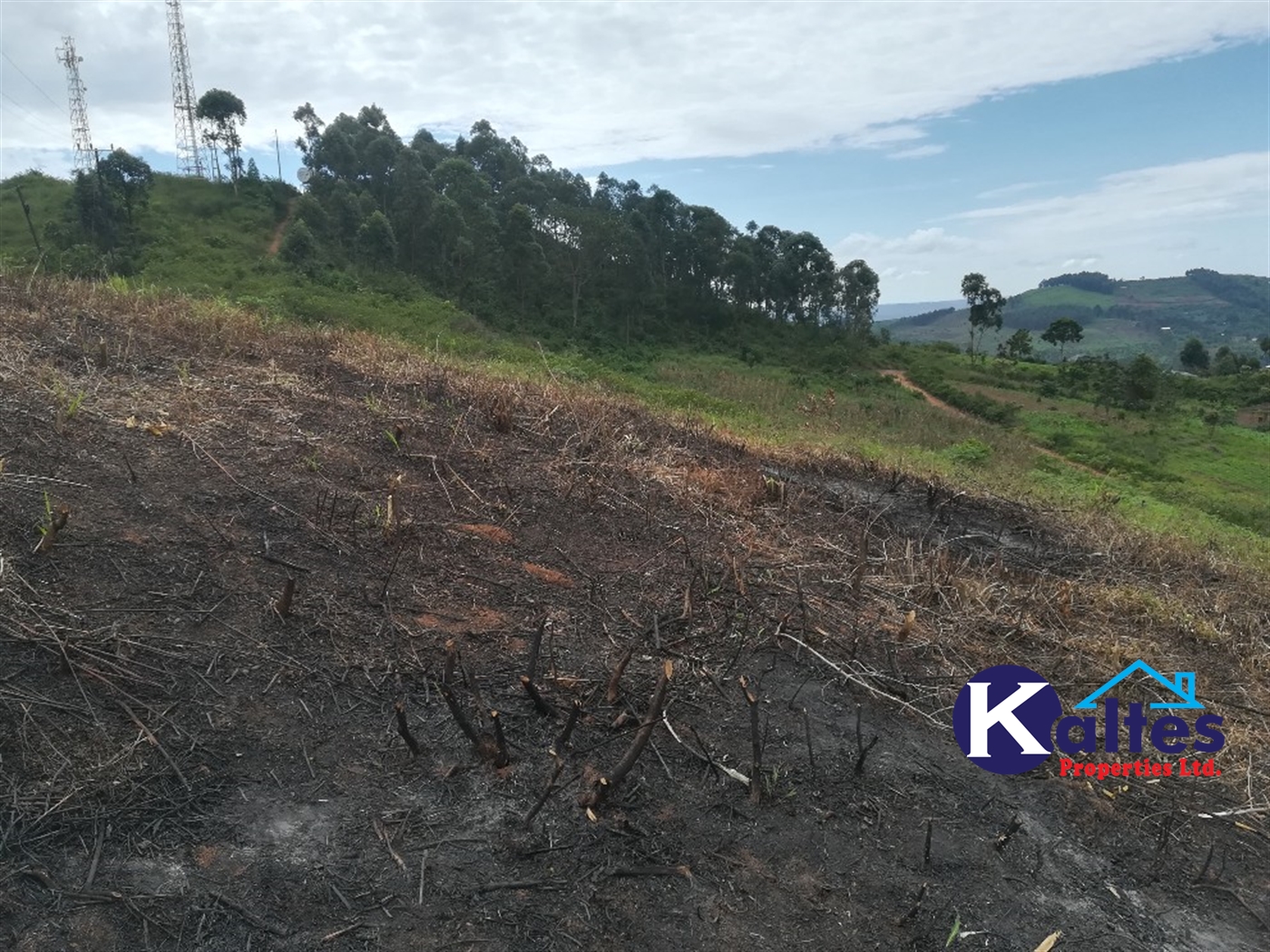 Residential Land for sale in Namubiru Mukono