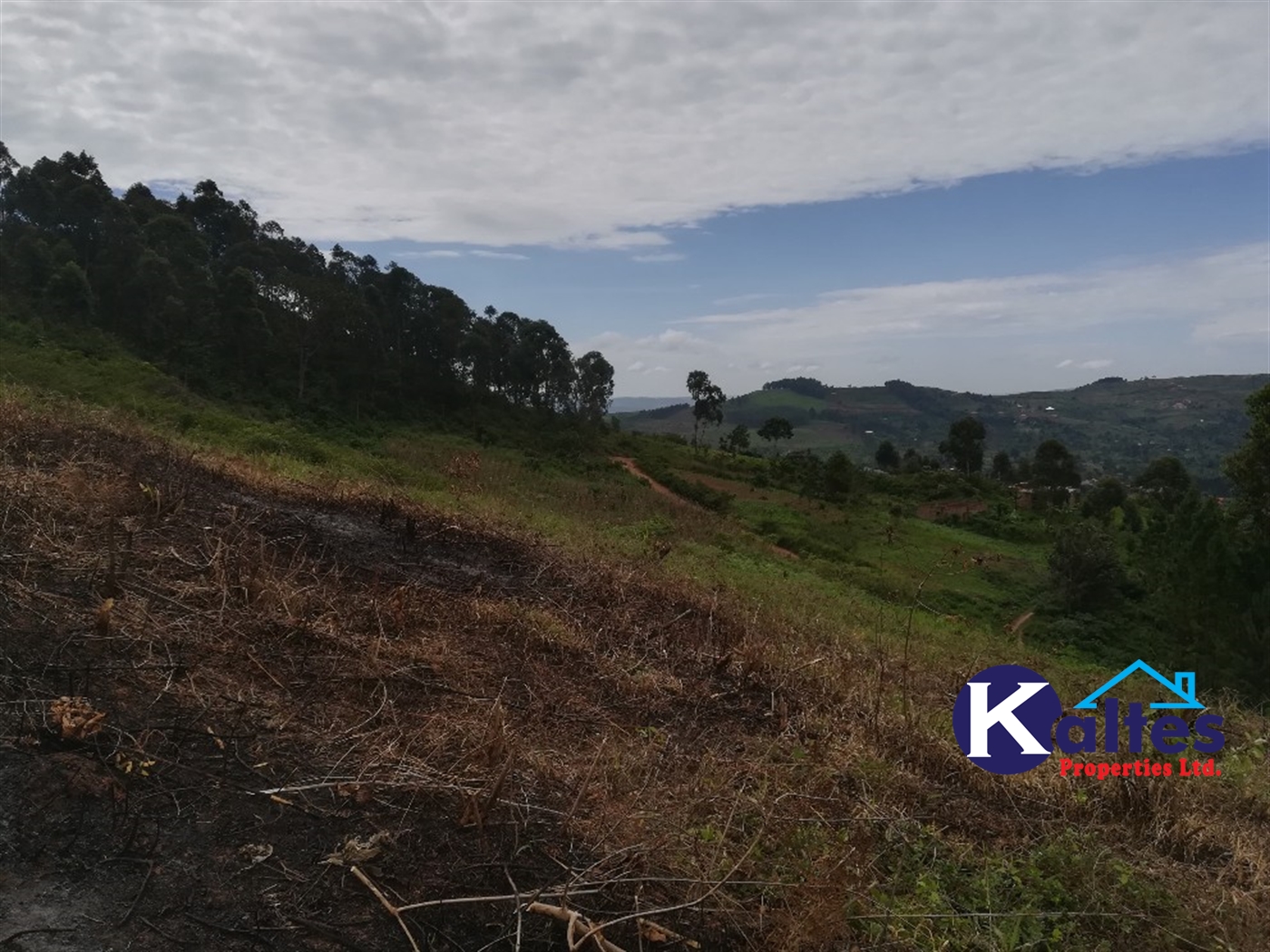 Residential Land for sale in Namubiru Mukono