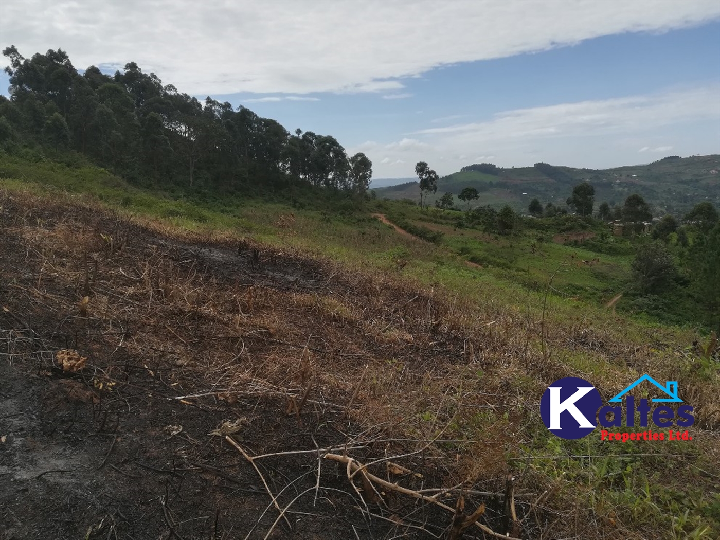 Residential Land for sale in Namubiru Mukono