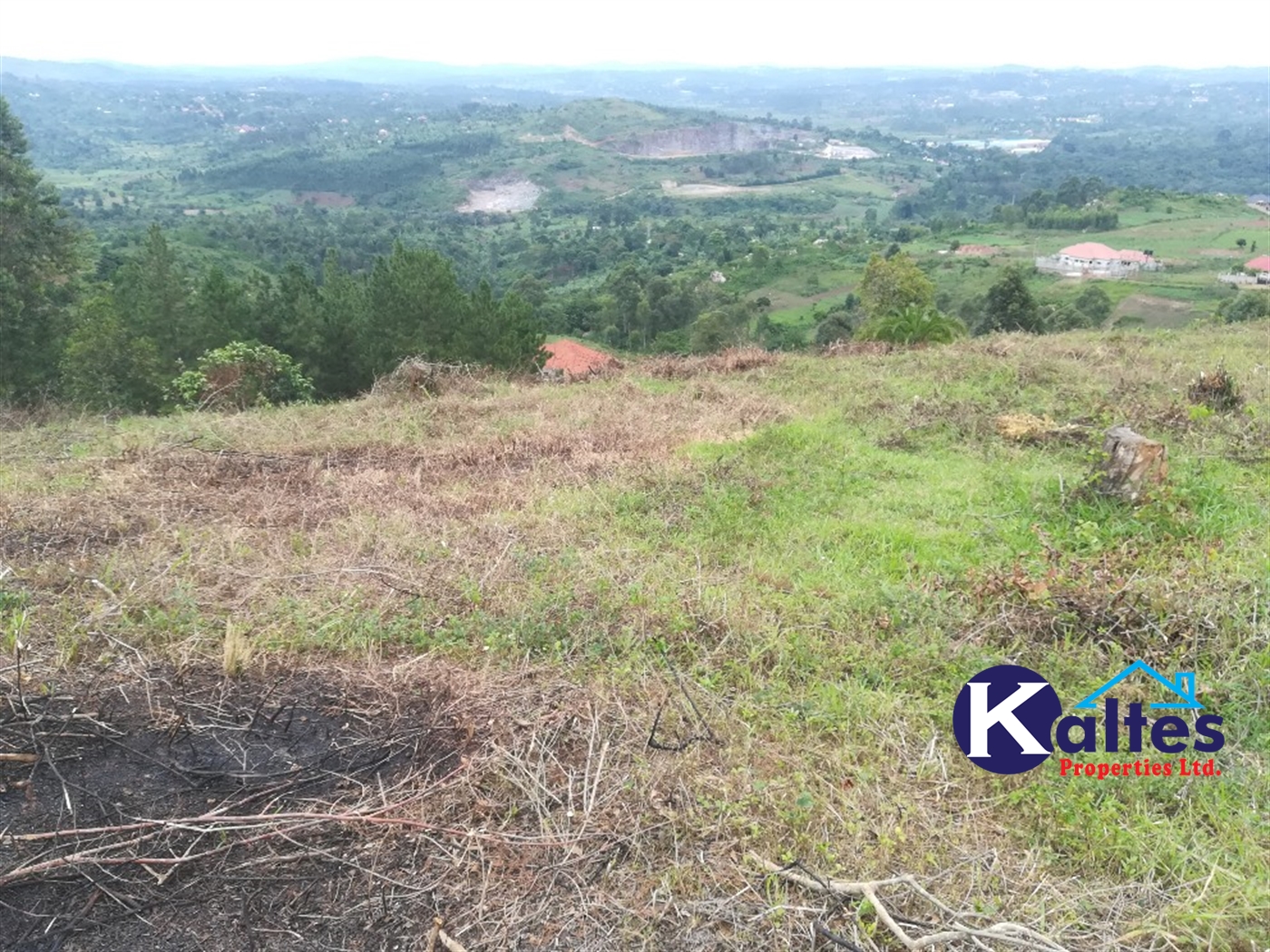 Residential Land for sale in Namubiru Mukono