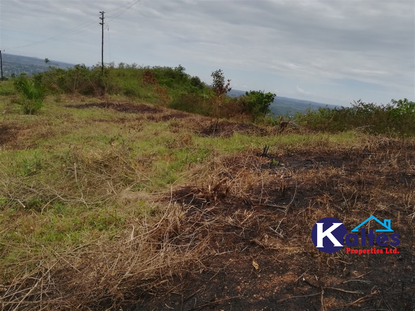 Residential Land for sale in Namubiru Mukono