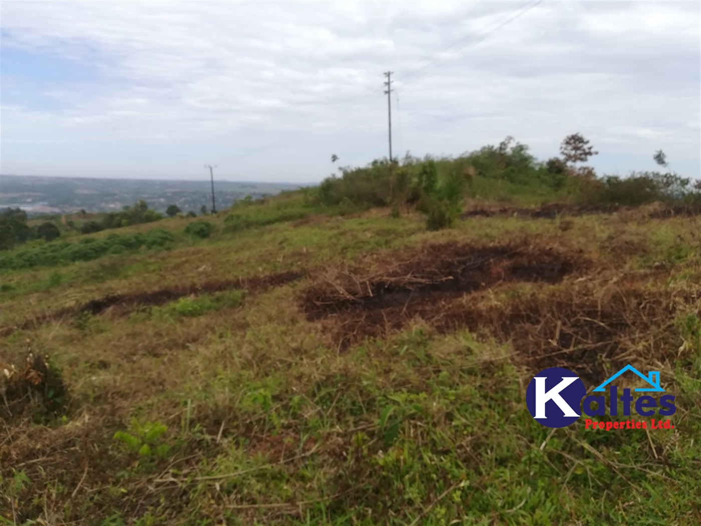 Residential Land for sale in Namubiru Mukono