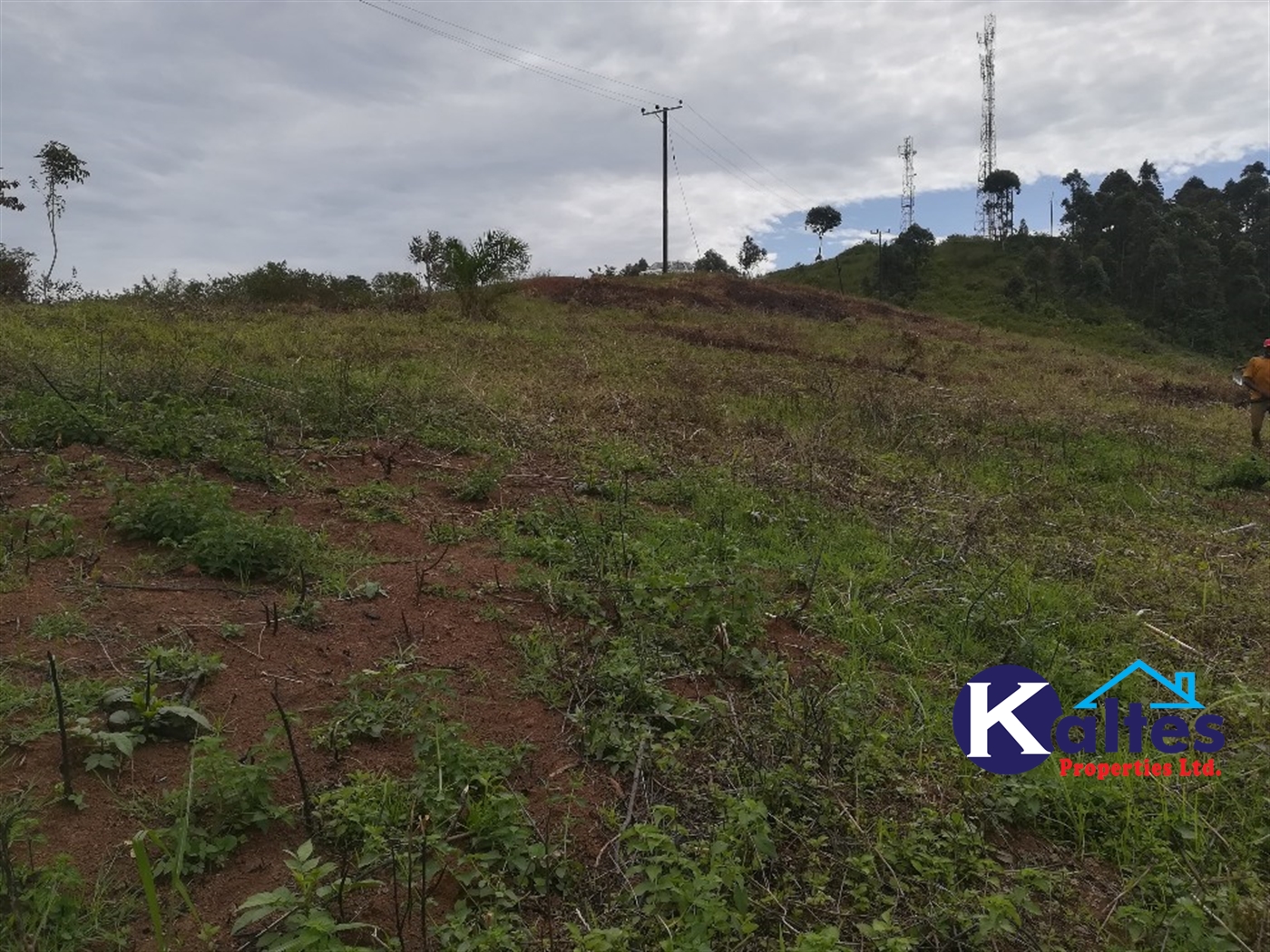 Residential Land for sale in Namubiru Mukono