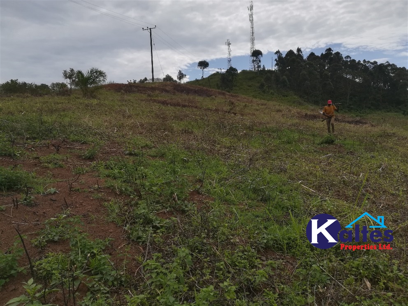 Residential Land for sale in Namubiru Mukono