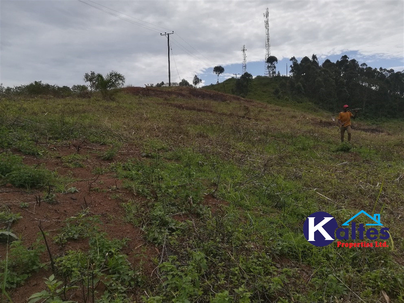 Residential Land for sale in Namubiru Mukono