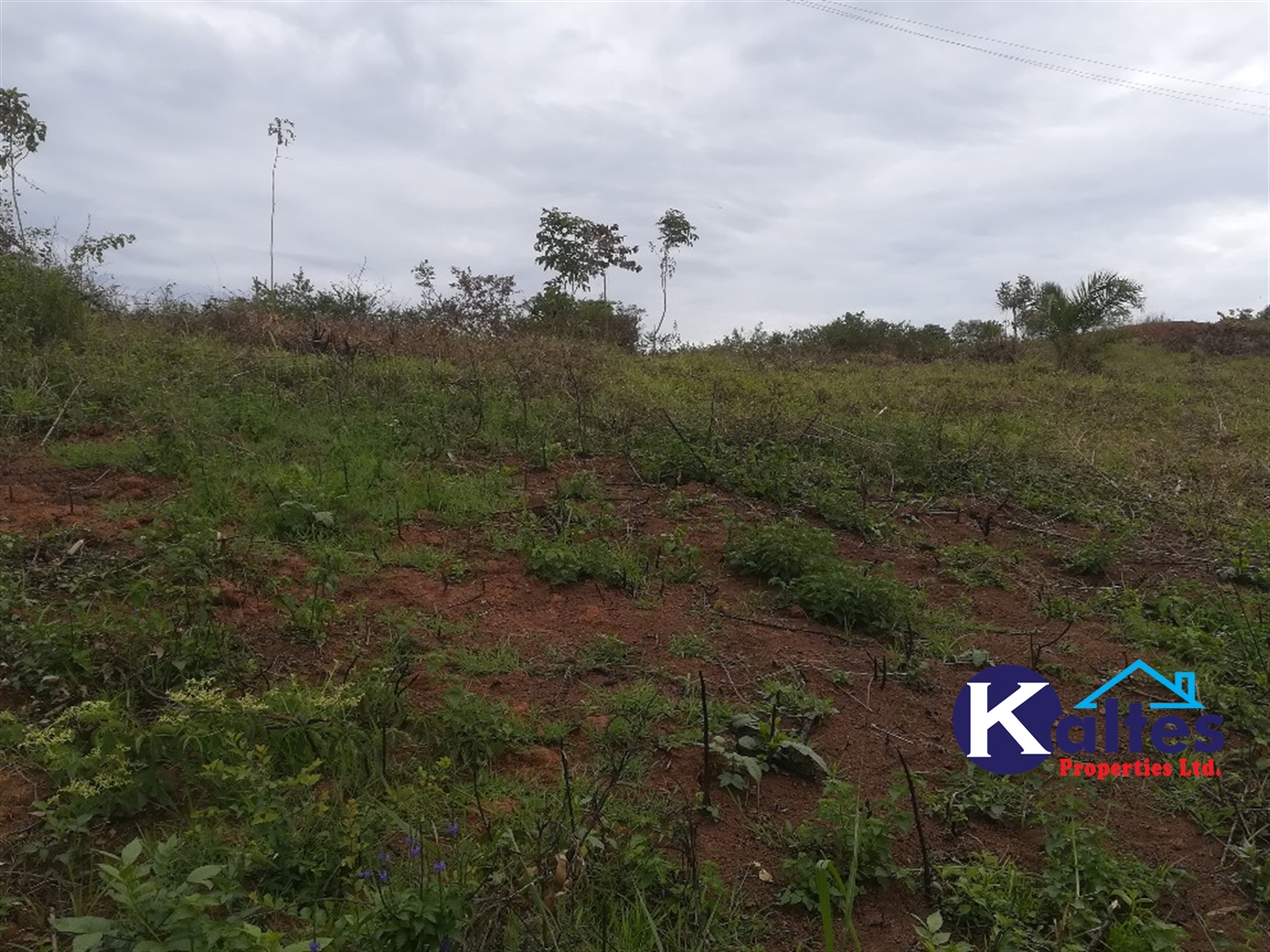 Residential Land for sale in Namubiru Mukono