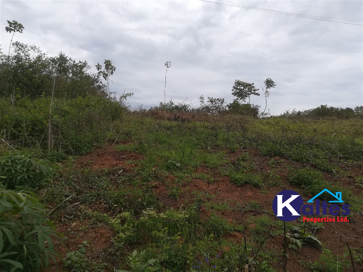 Residential Land for sale in Namubiru Mukono