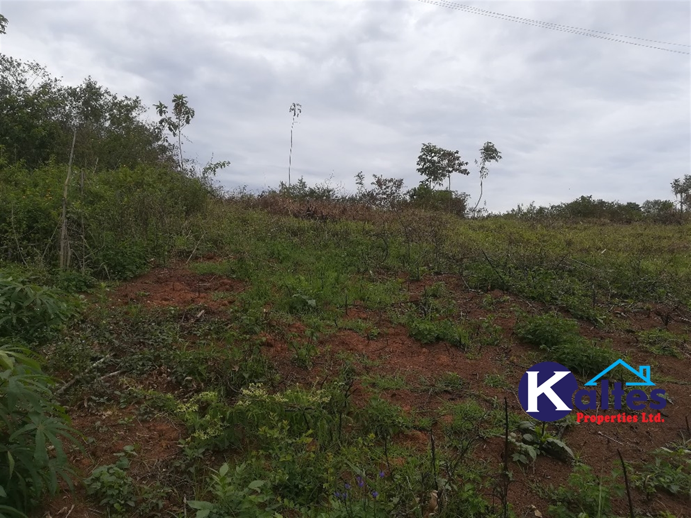 Residential Land for sale in Namubiru Mukono