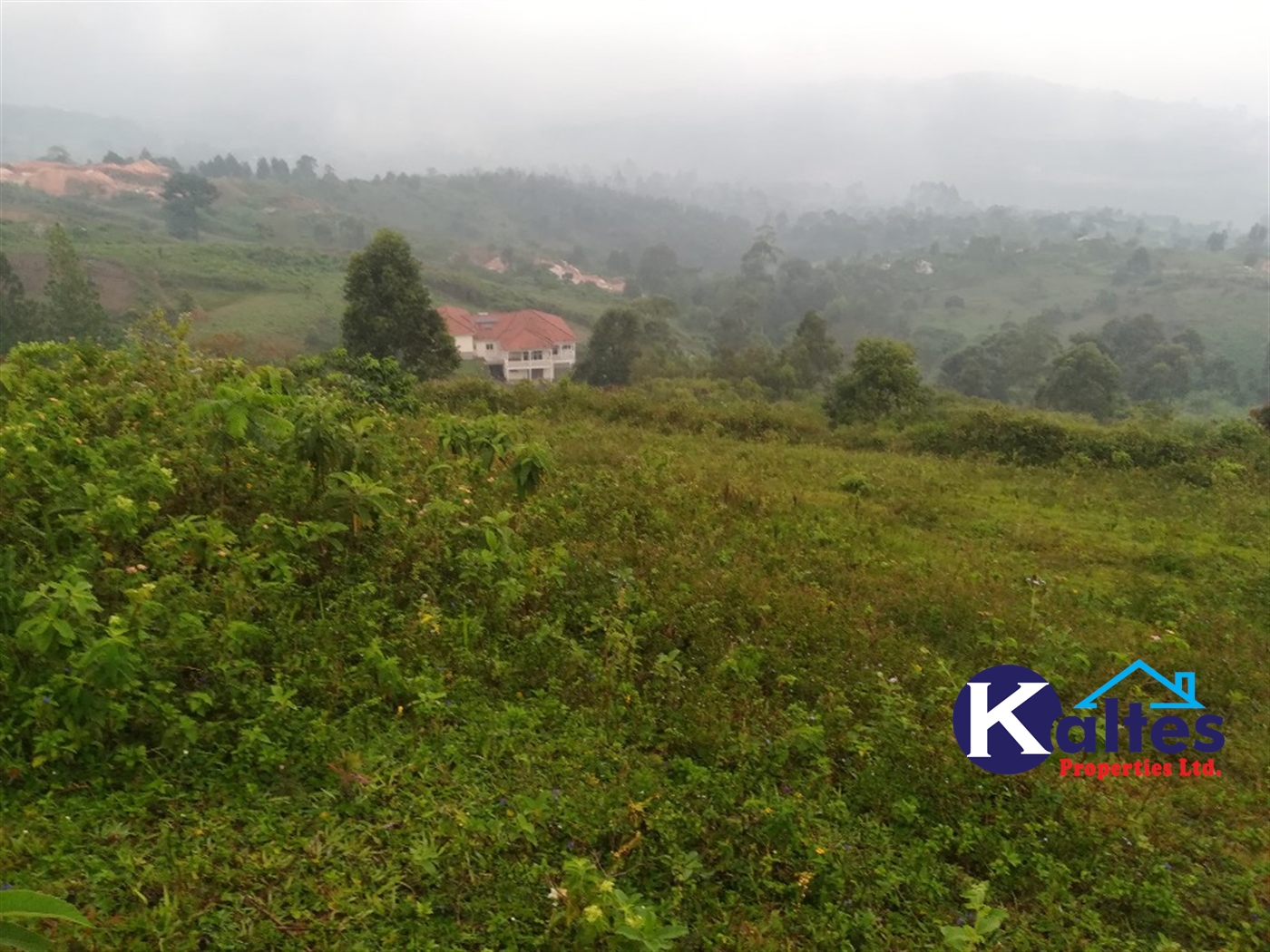 Residential Land for sale in Namubiru Mukono