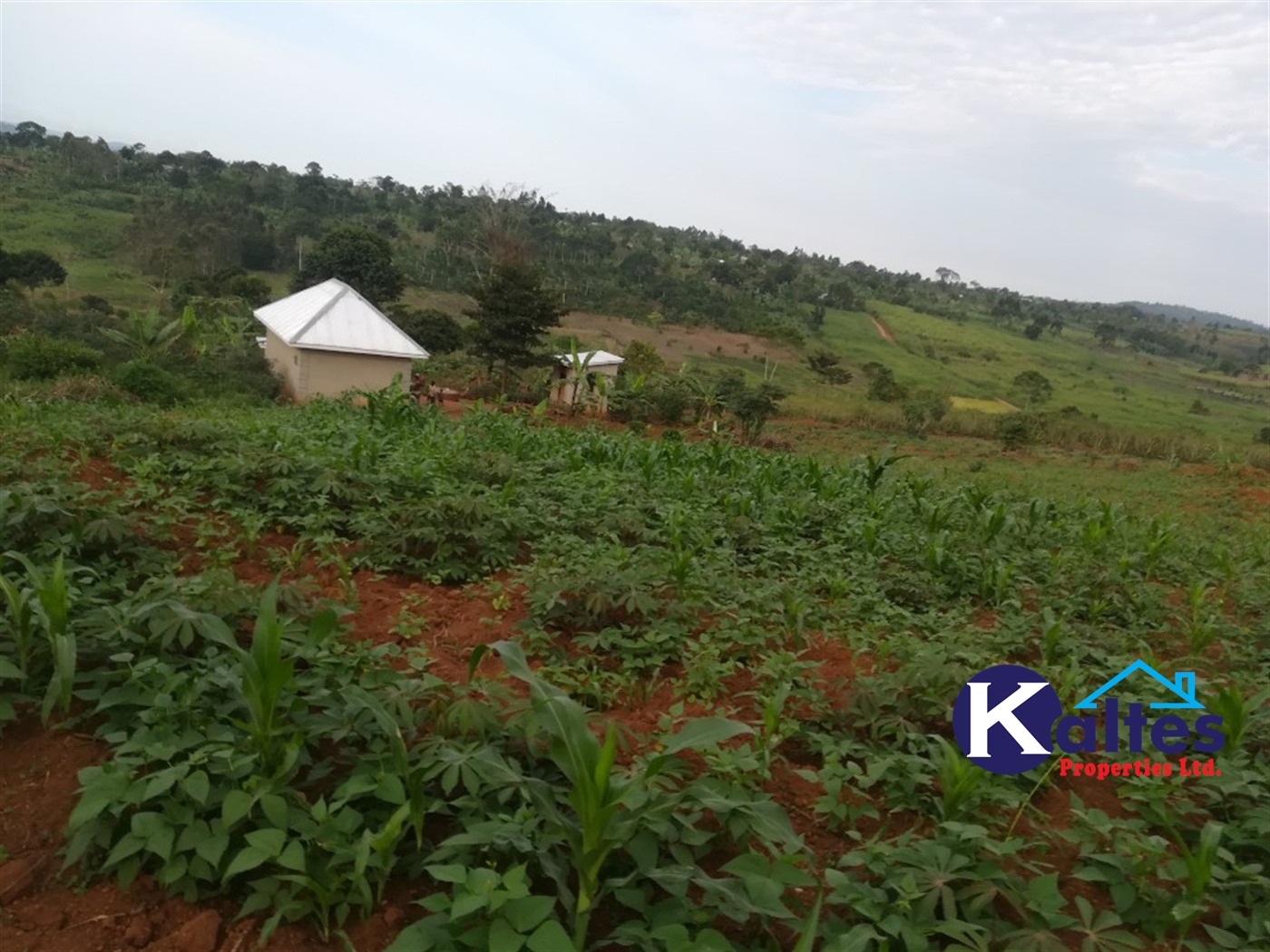 Residential Land for sale in Namubiru Mukono