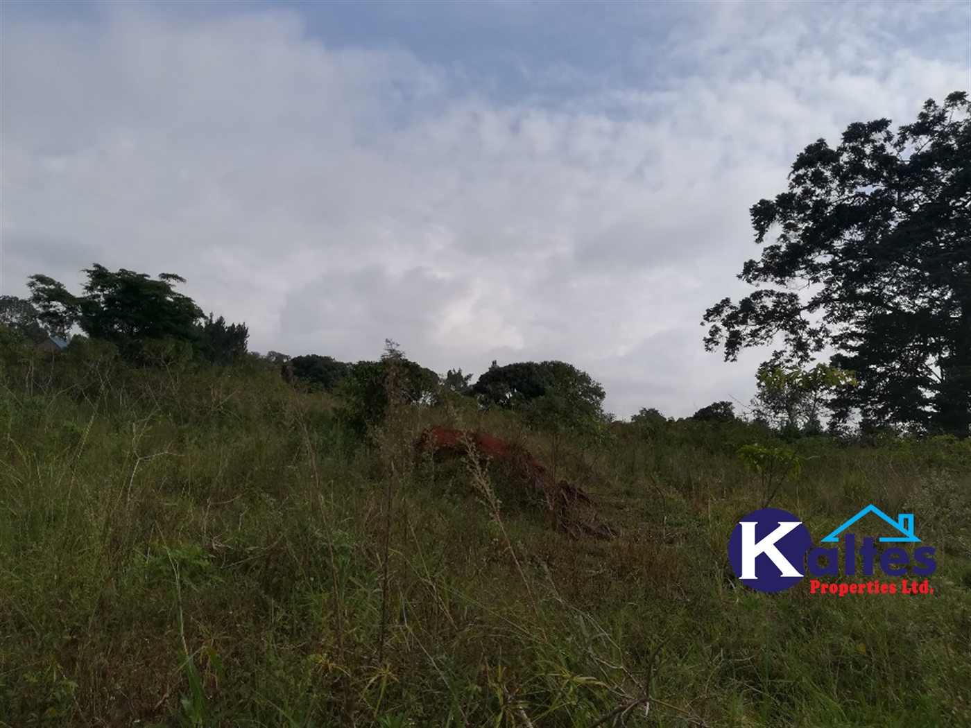 Agricultural Land for sale in Naluvule Buyikwe