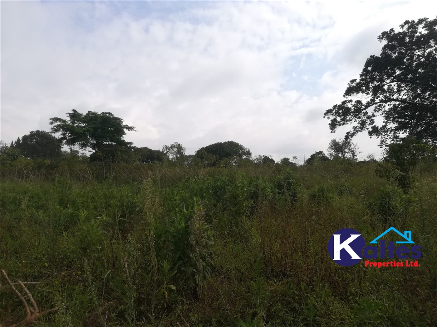 Agricultural Land for sale in Naluvule Buyikwe