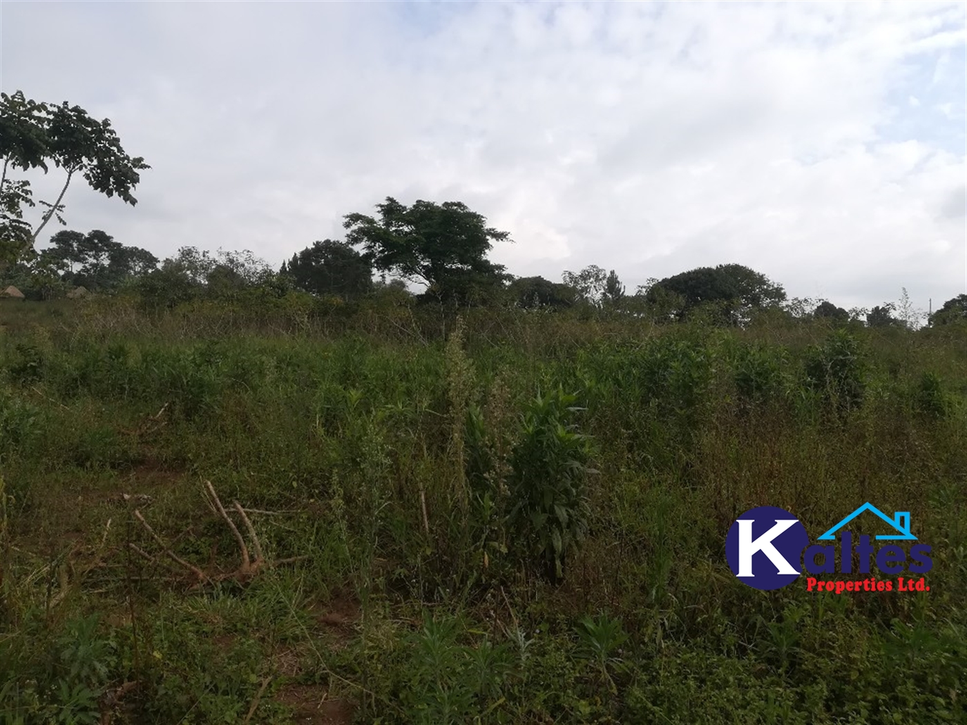 Agricultural Land for sale in Naluvule Buyikwe