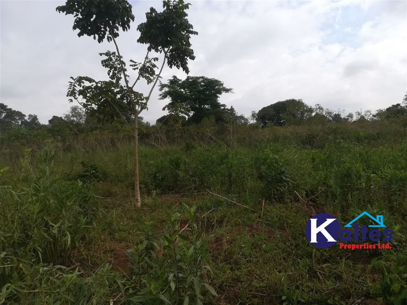 Agricultural Land for sale in Naluvule Buyikwe