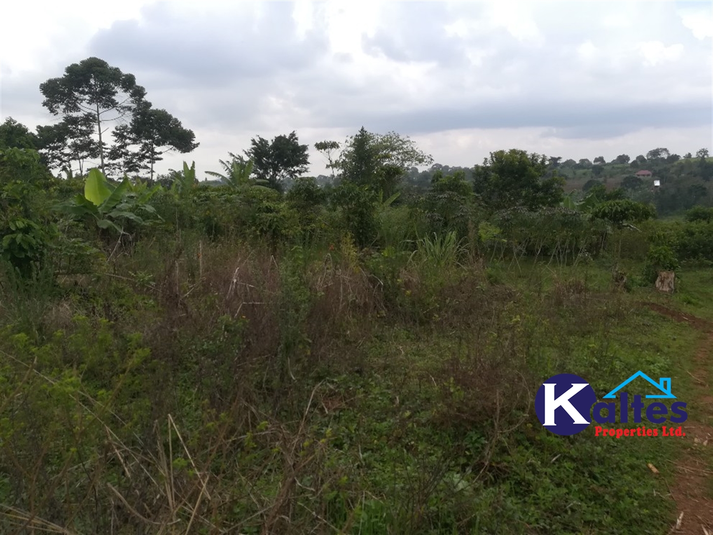 Agricultural Land for sale in Naluvule Buyikwe