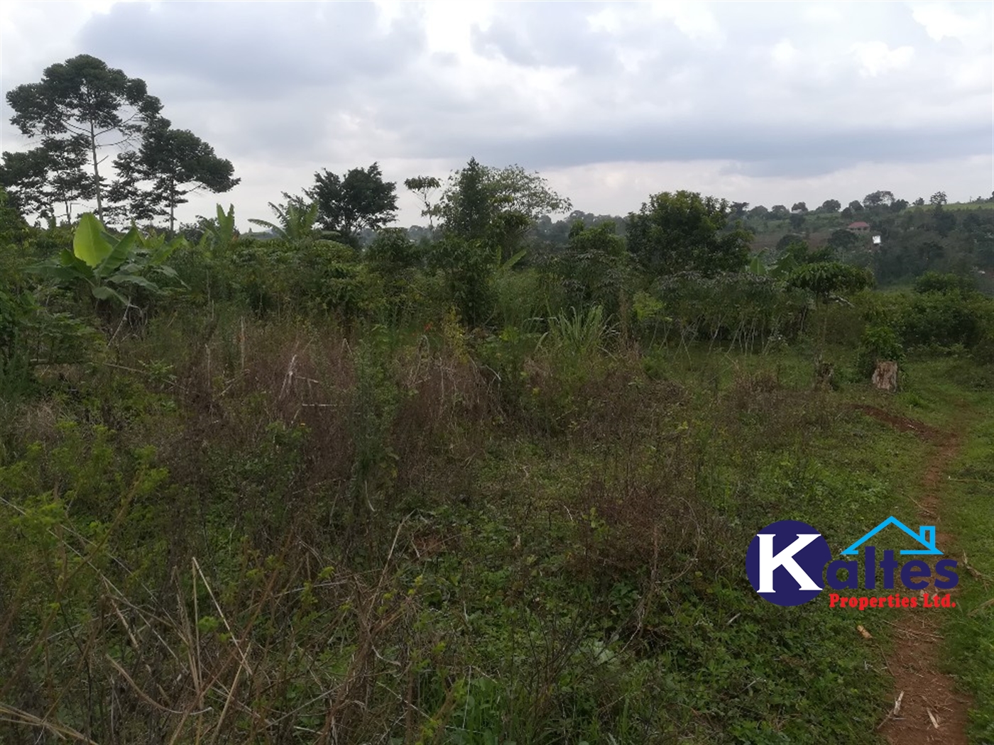 Agricultural Land for sale in Naluvule Buyikwe