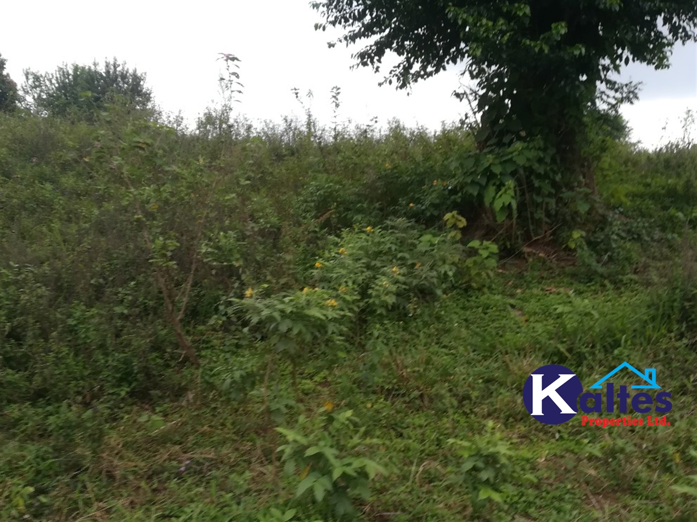 Agricultural Land for sale in Naluvule Buyikwe