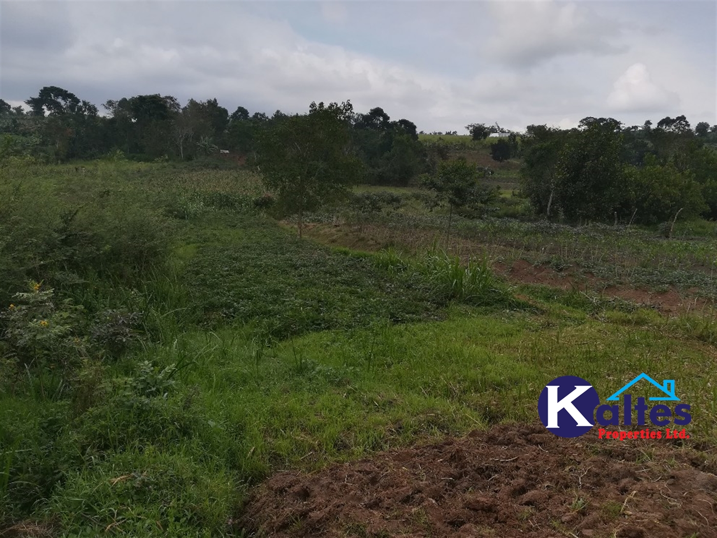 Agricultural Land for sale in Naluvule Buyikwe