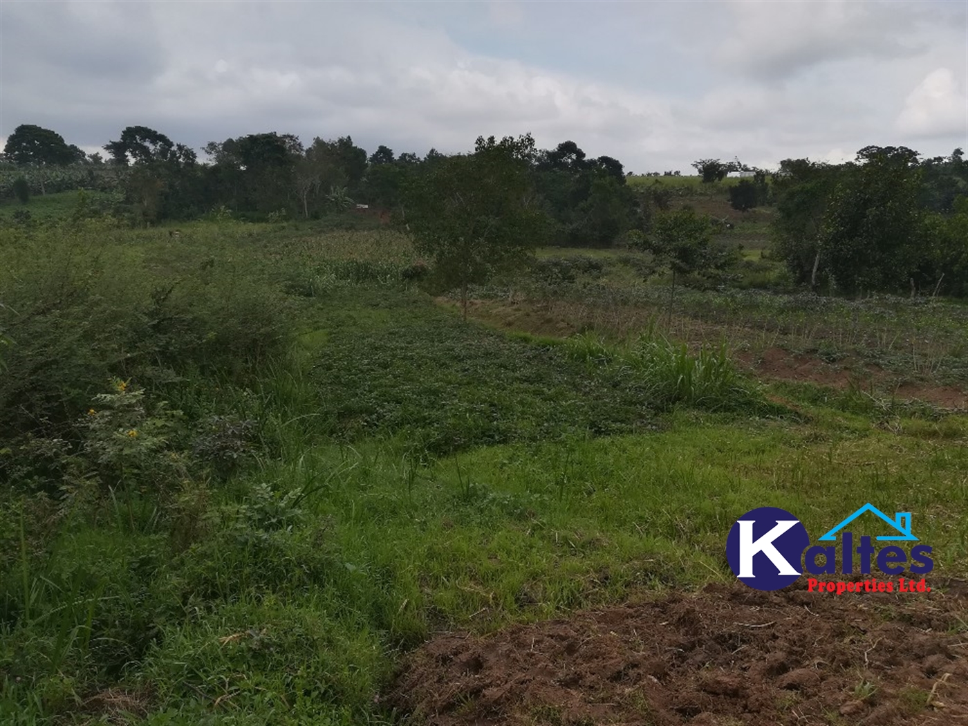 Agricultural Land for sale in Naluvule Buyikwe