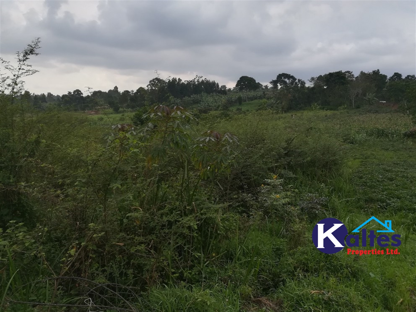 Agricultural Land for sale in Naluvule Buyikwe