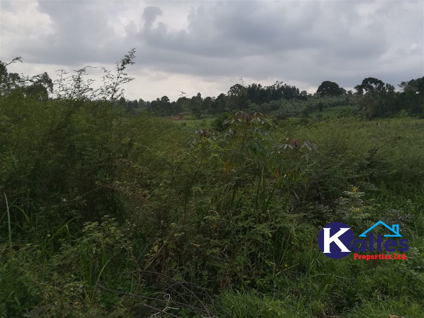 Agricultural Land for sale in Naluvule Buyikwe