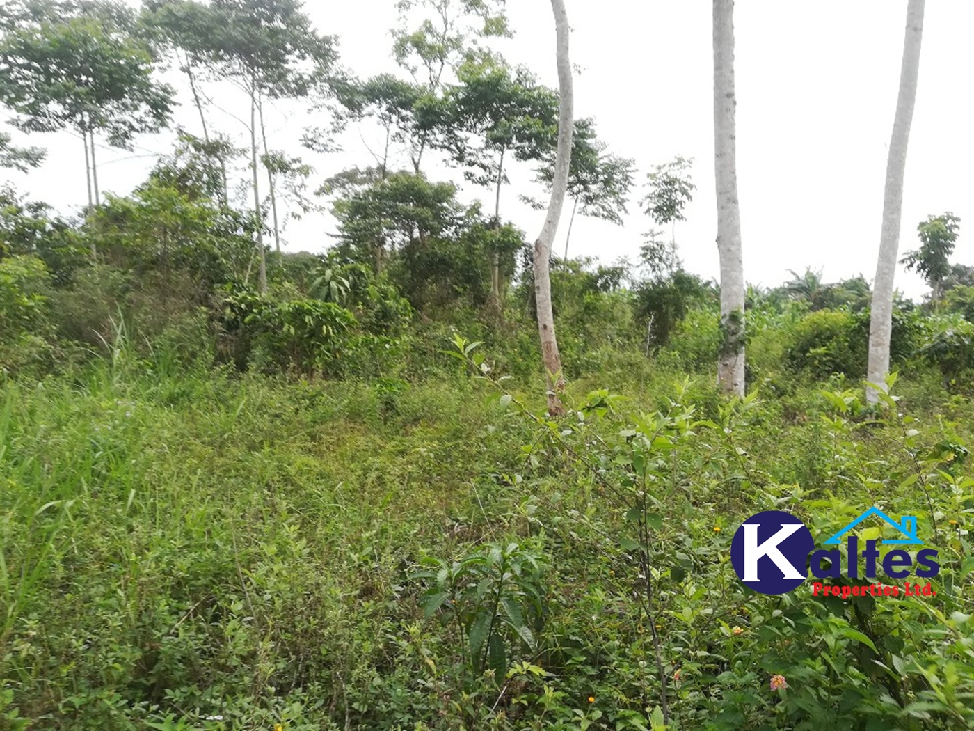 Agricultural Land for sale in Vvumba Buyikwe