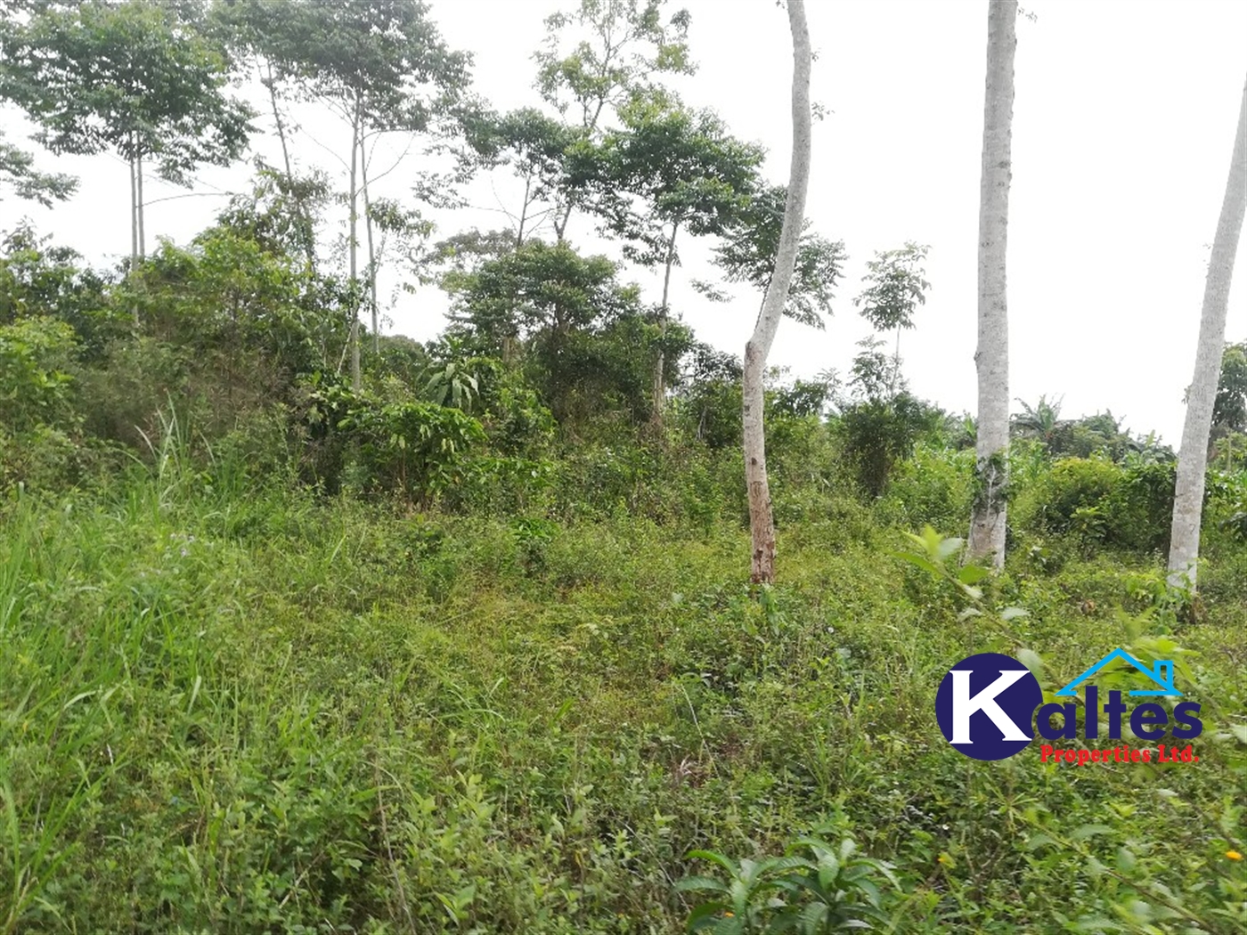 Agricultural Land for sale in Vvumba Buyikwe