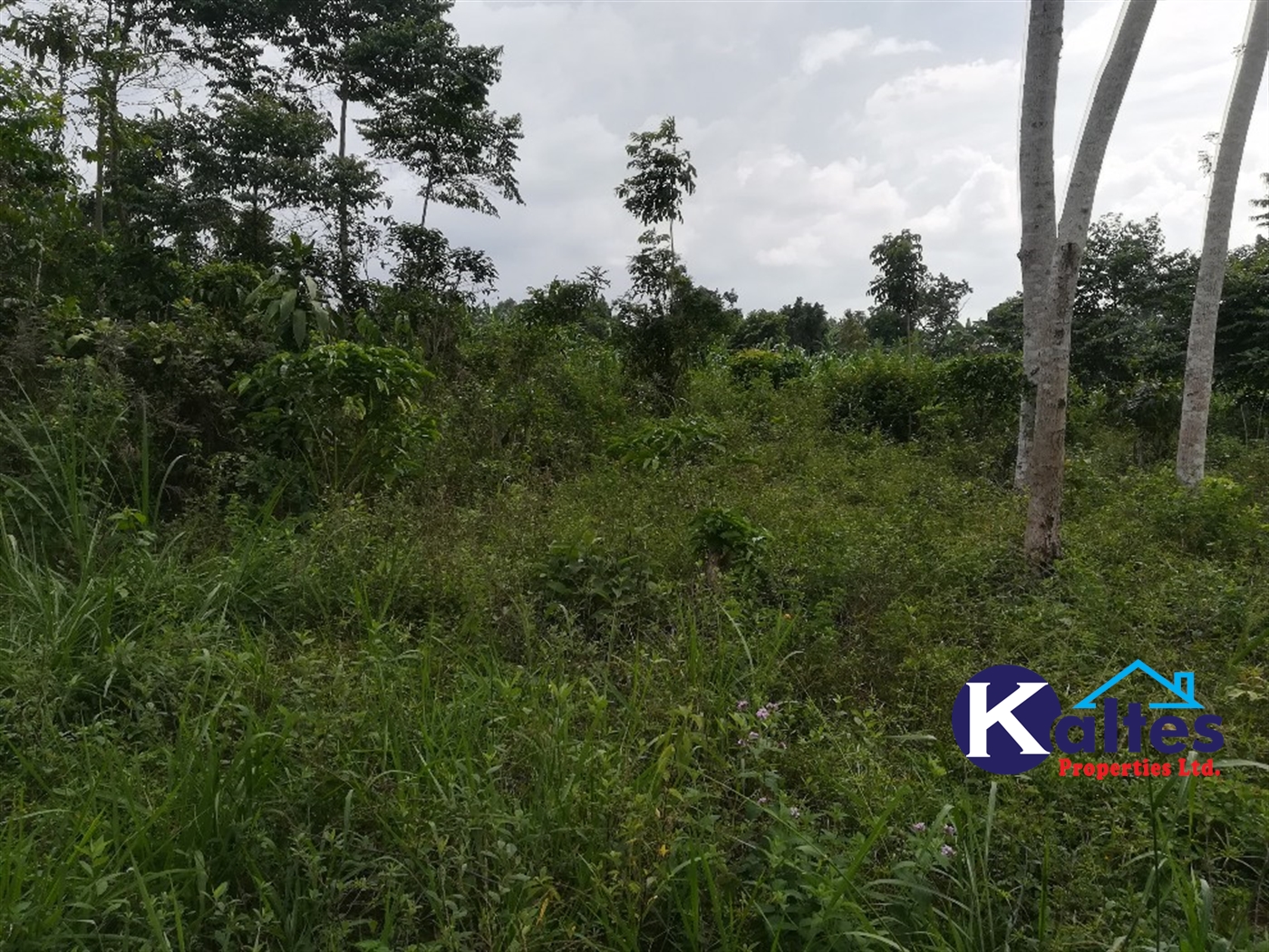 Agricultural Land for sale in Vvumba Buyikwe