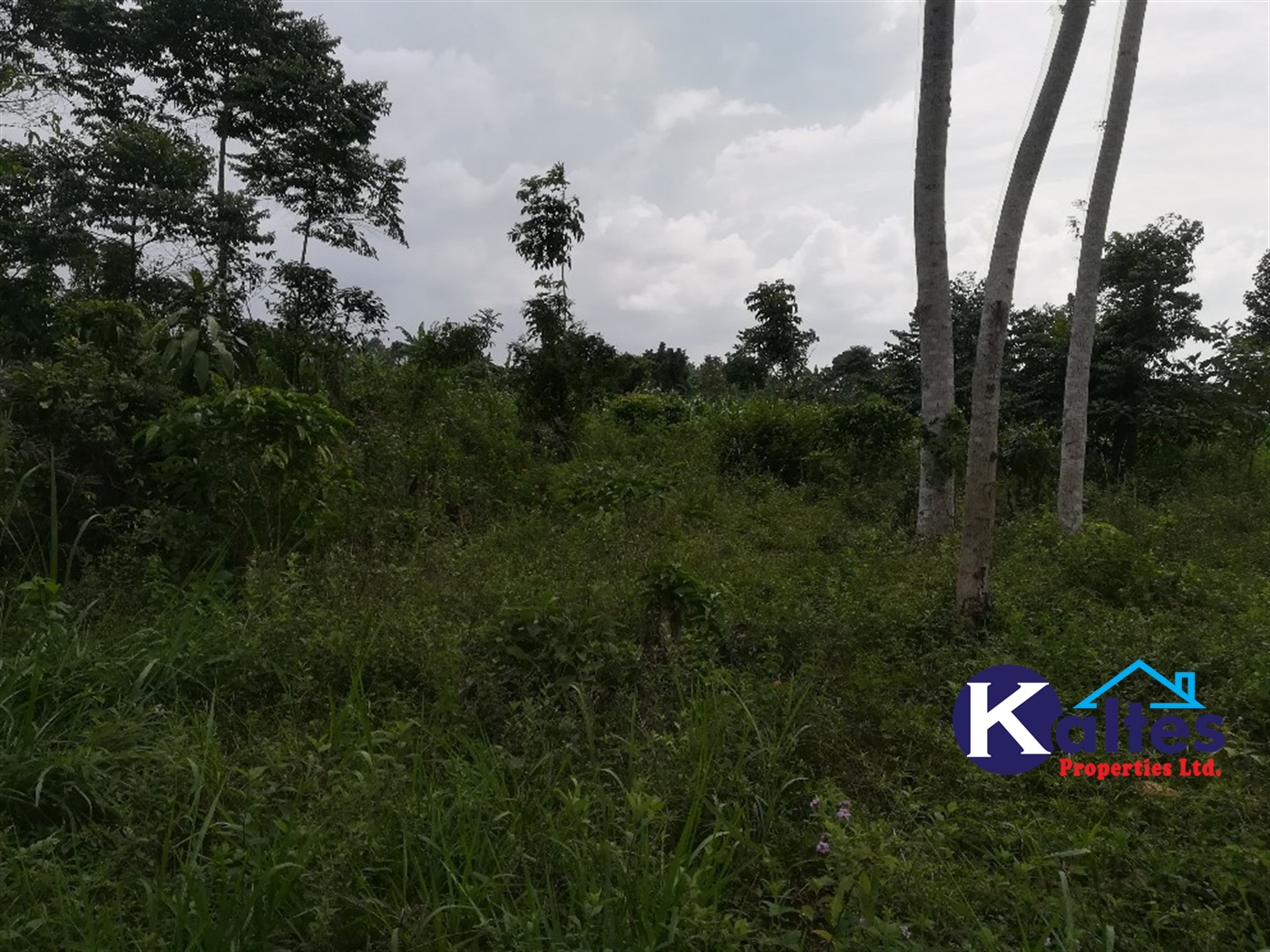 Agricultural Land for sale in Vvumba Buyikwe