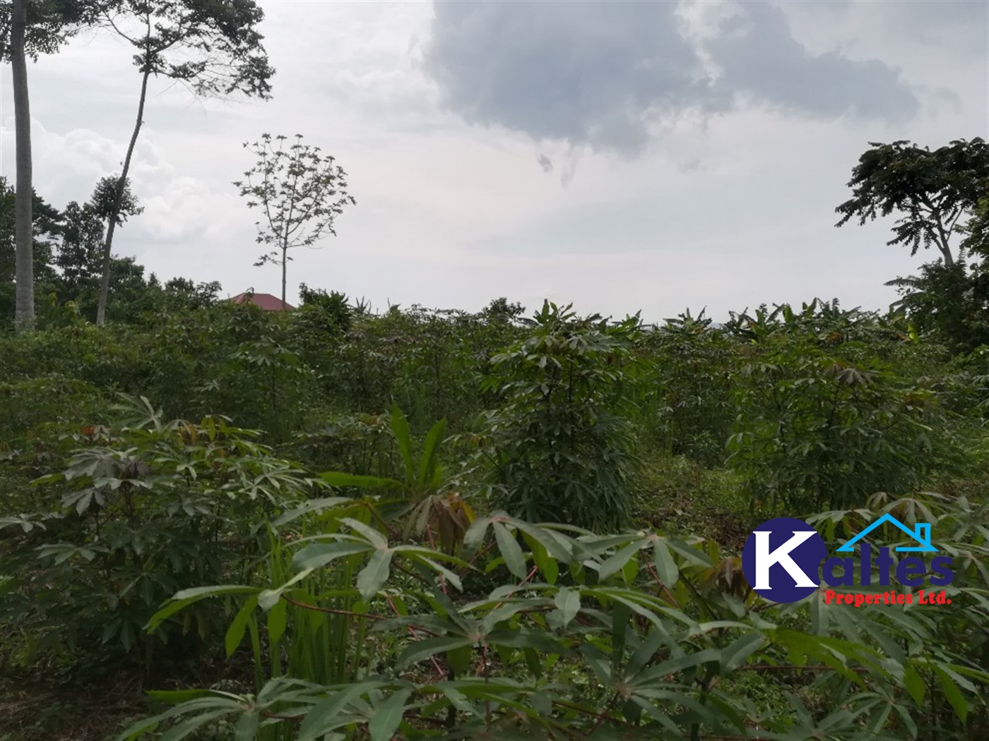 Agricultural Land for sale in Vvumba Buyikwe