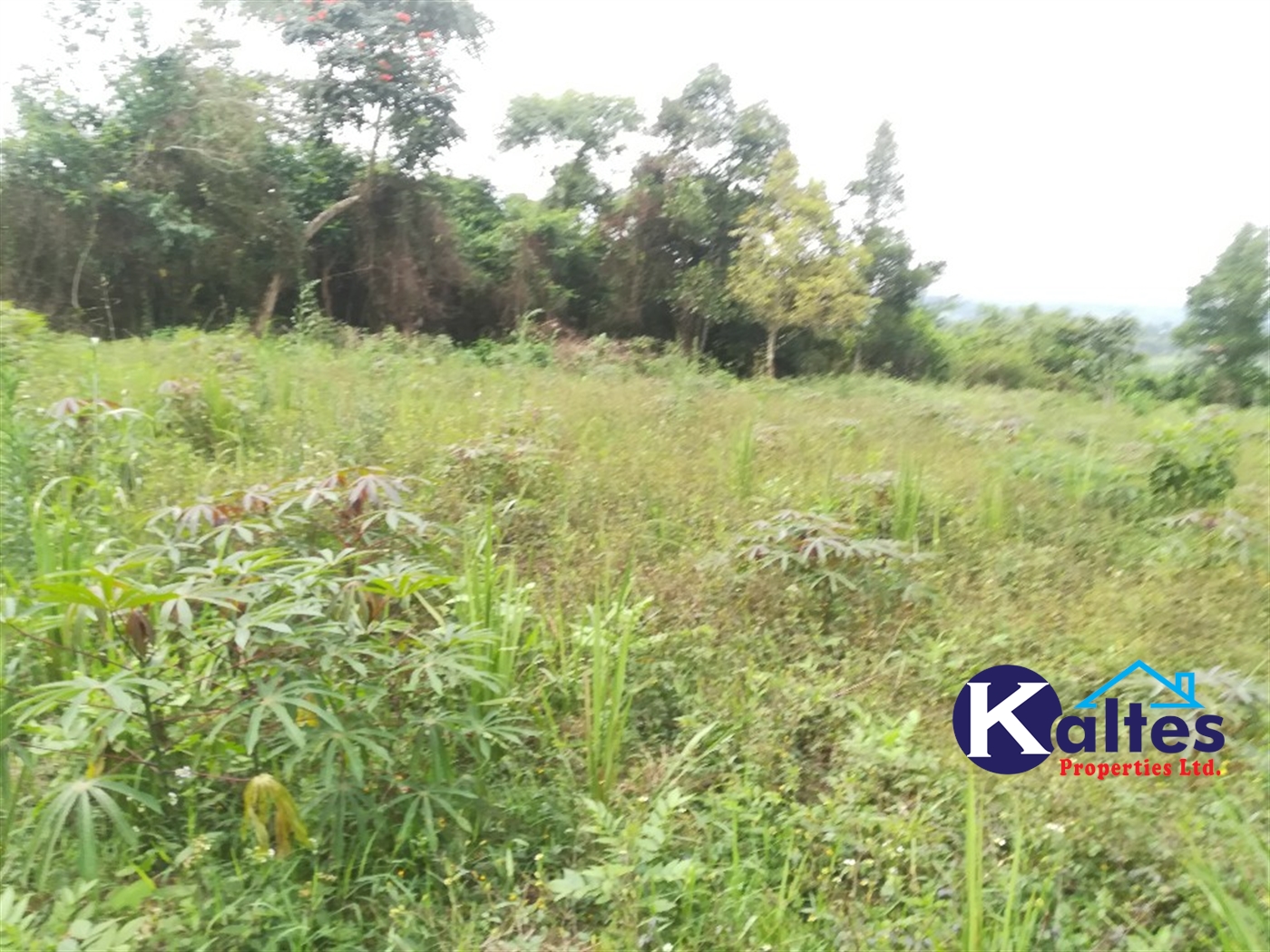 Agricultural Land for sale in Vvumba Buyikwe