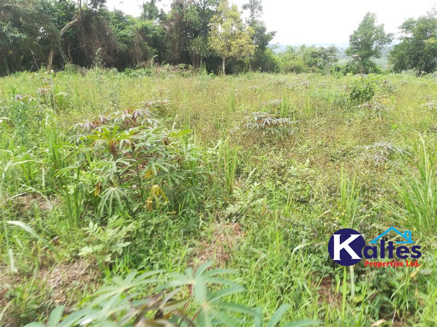 Agricultural Land for sale in Vvumba Buyikwe