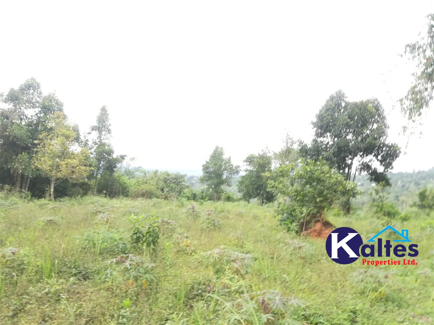 Agricultural Land for sale in Vvumba Buyikwe