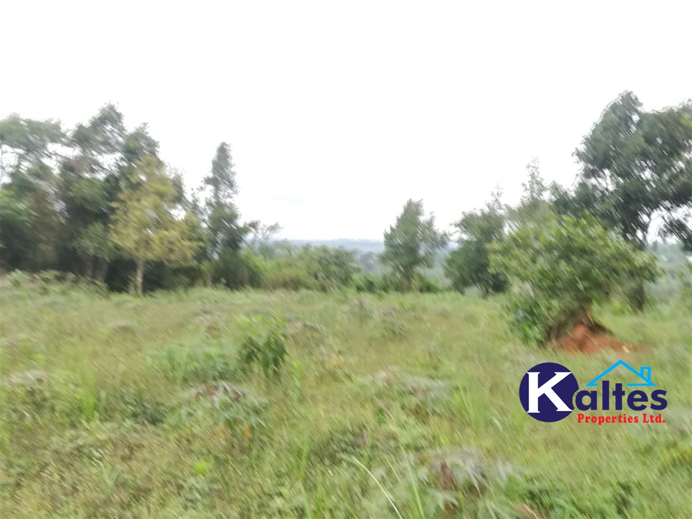 Agricultural Land for sale in Vvumba Buyikwe