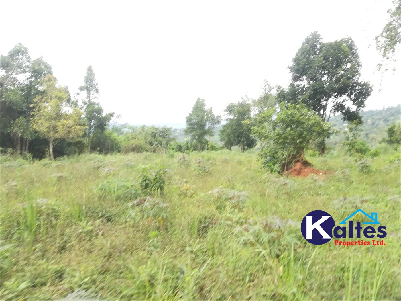 Agricultural Land for sale in Vvumba Buyikwe