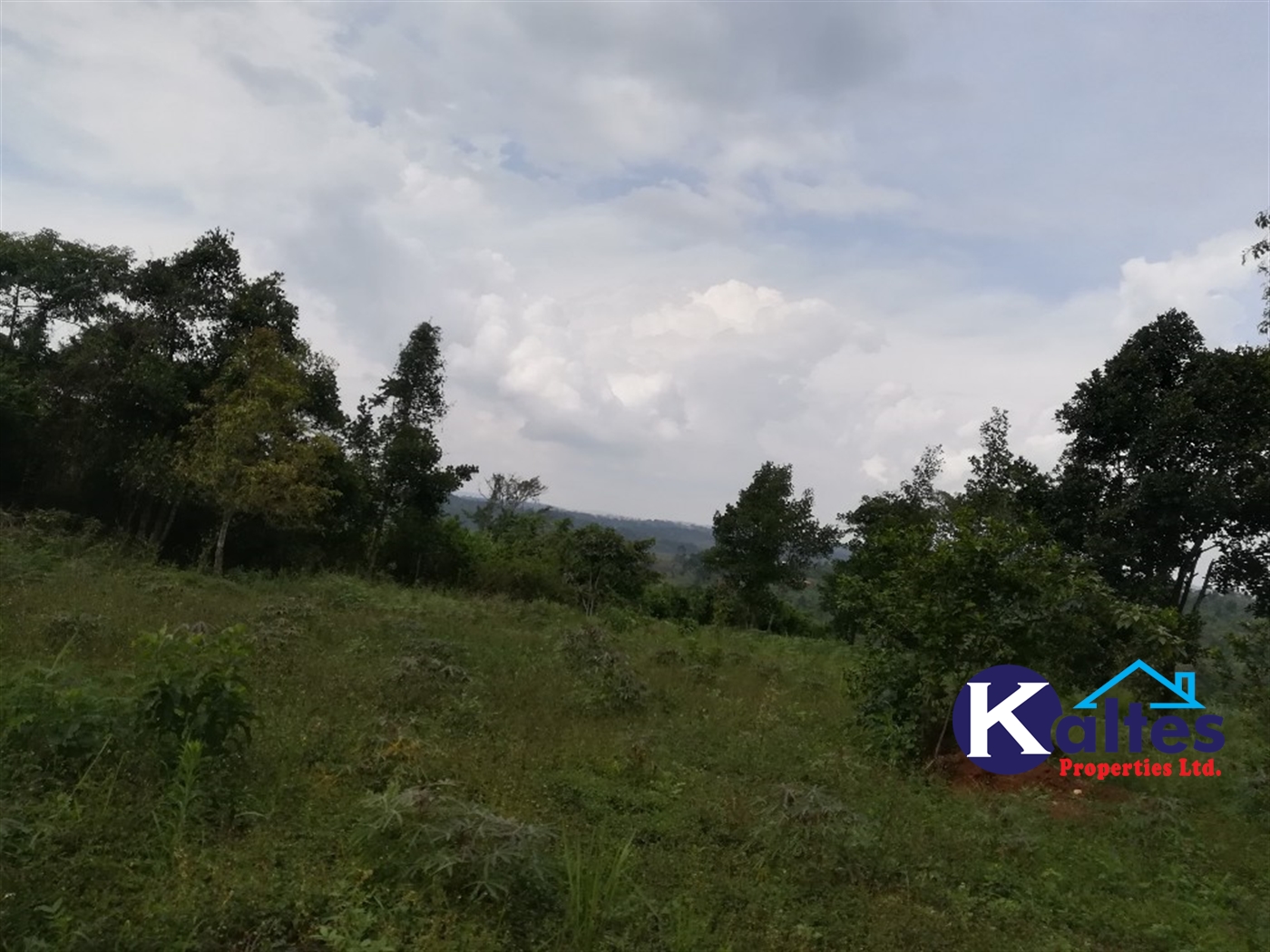 Agricultural Land for sale in Vvumba Buyikwe