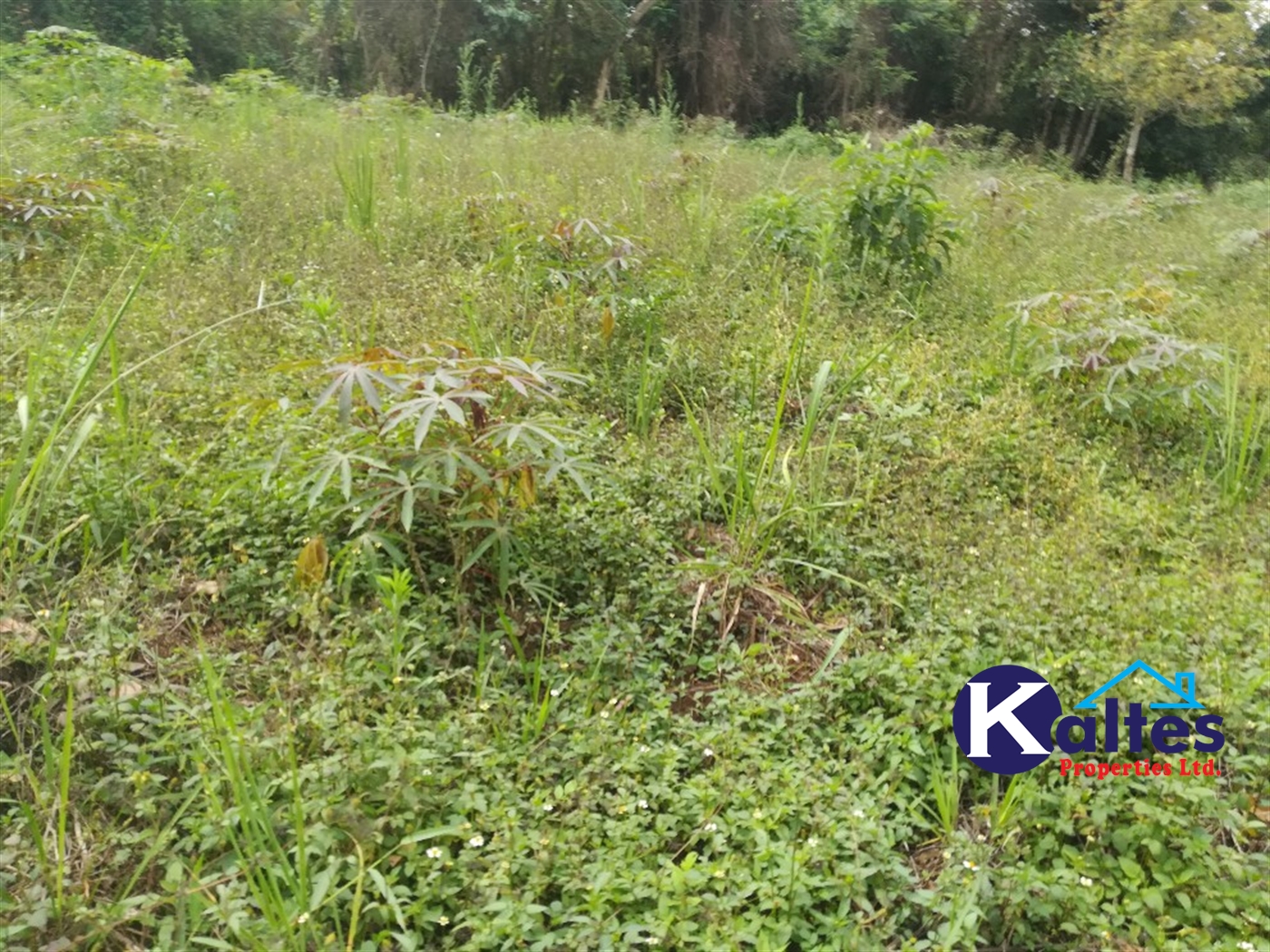 Agricultural Land for sale in Vvumba Buyikwe