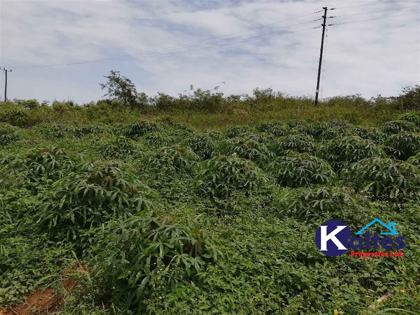 Agricultural Land for sale in Namwezi Buyikwe