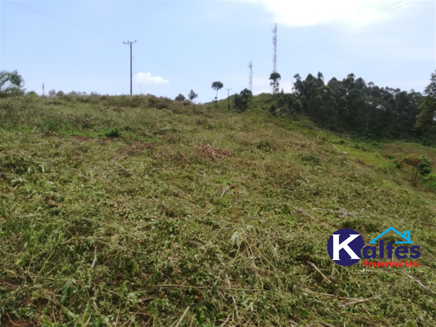 Agricultural Land for sale in Namwezi Buyikwe