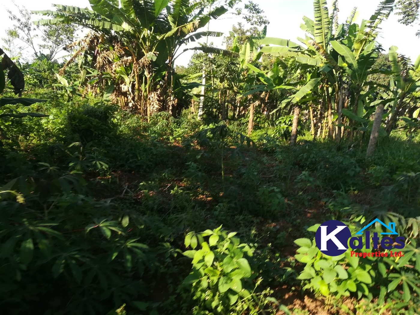 Residential Land for sale in Kalagala Buyikwe