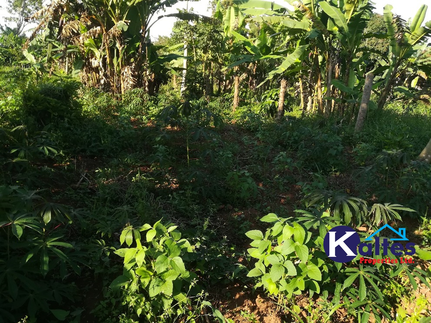 Residential Land for sale in Kalagala Buyikwe