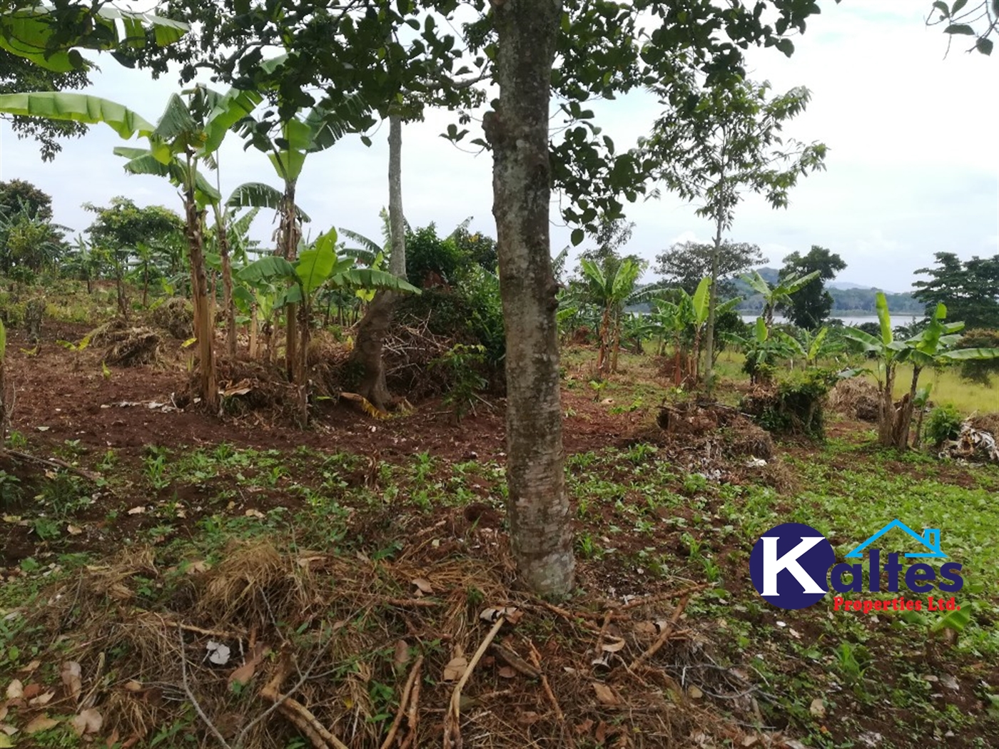 Agricultural Land for sale in Kalagala Buyikwe