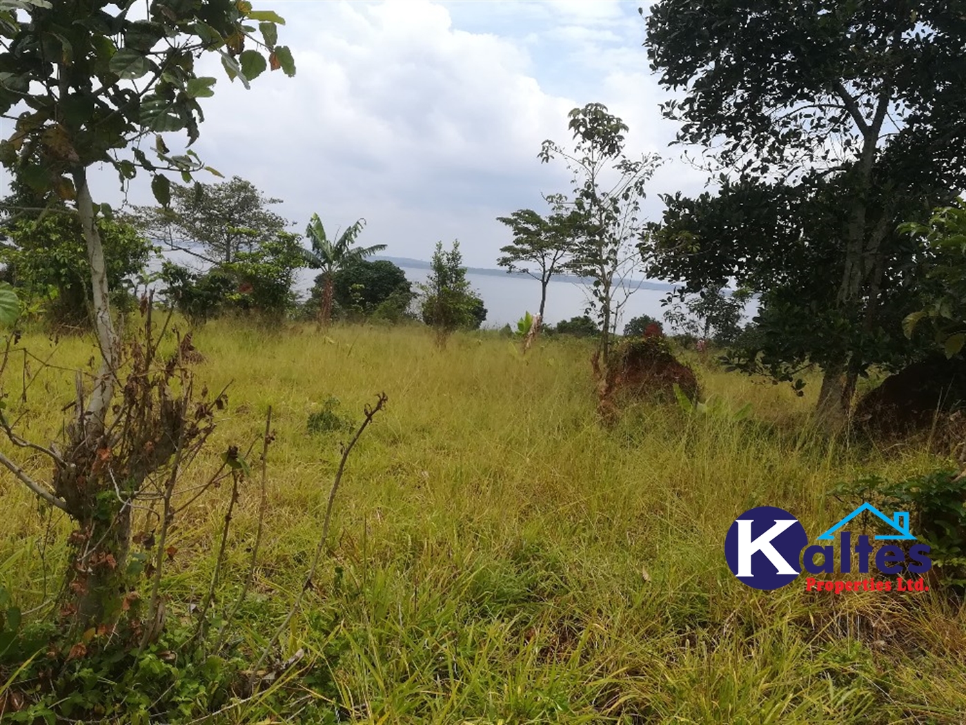 Agricultural Land for sale in Kalagala Buyikwe