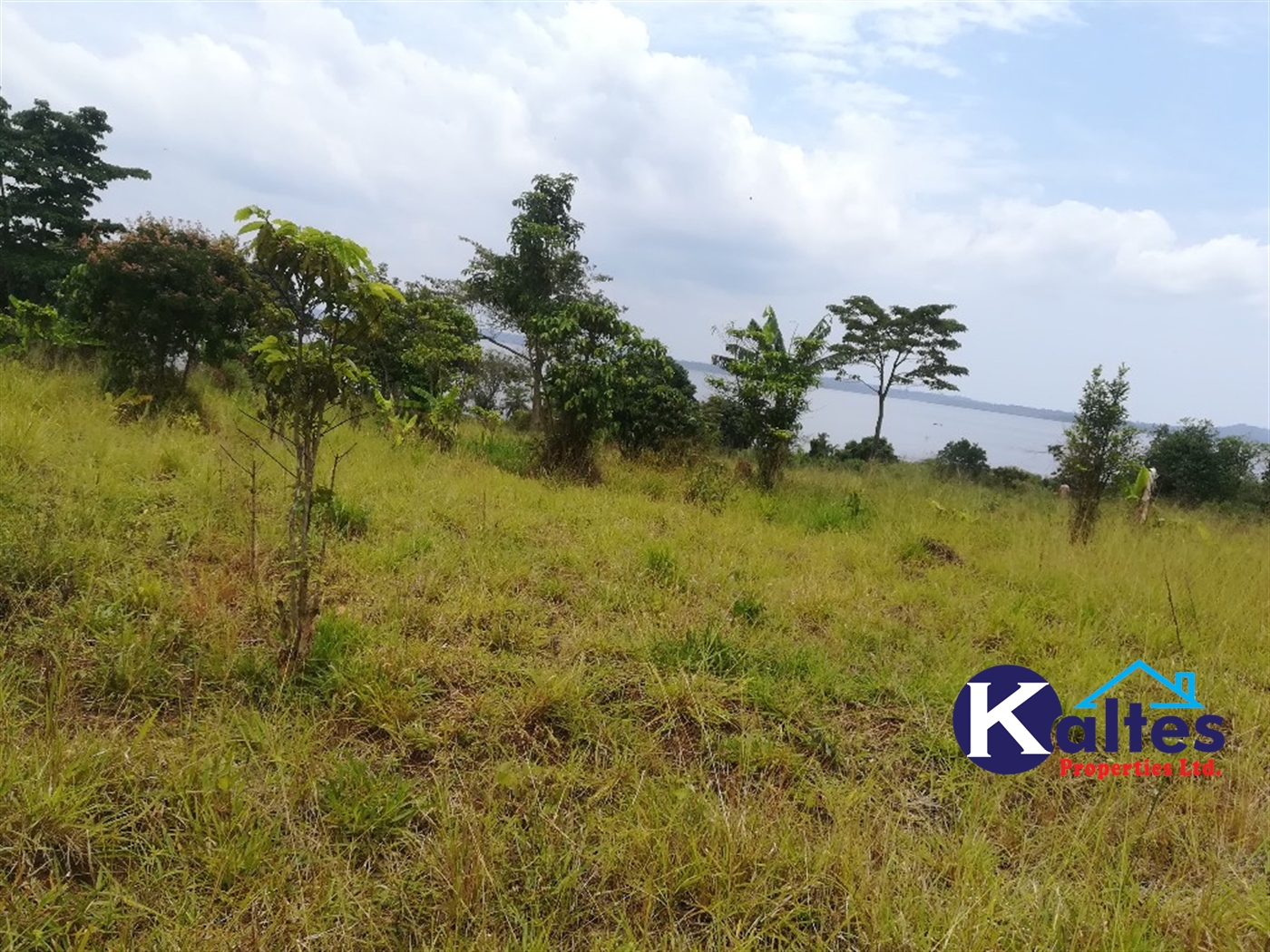 Agricultural Land for sale in Kalagala Buyikwe