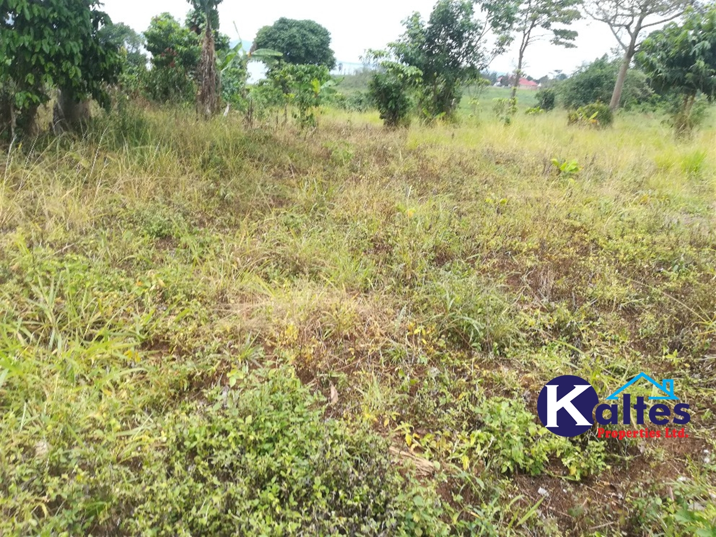 Agricultural Land for sale in Buyiri Buyikwe