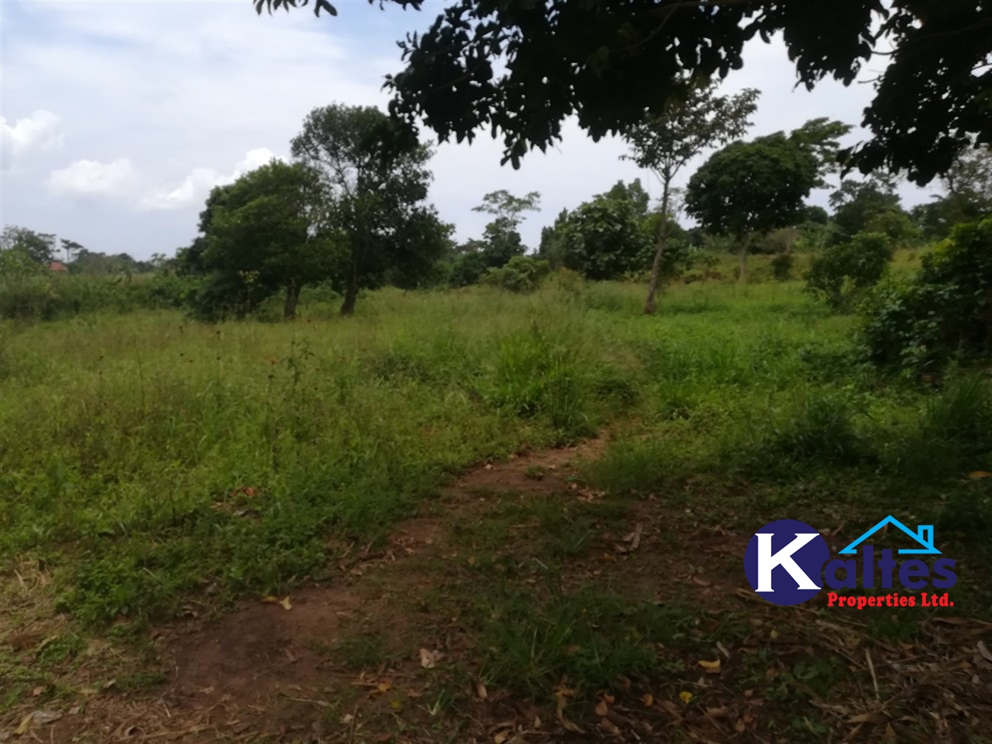 Agricultural Land for sale in Buyiri Buyikwe