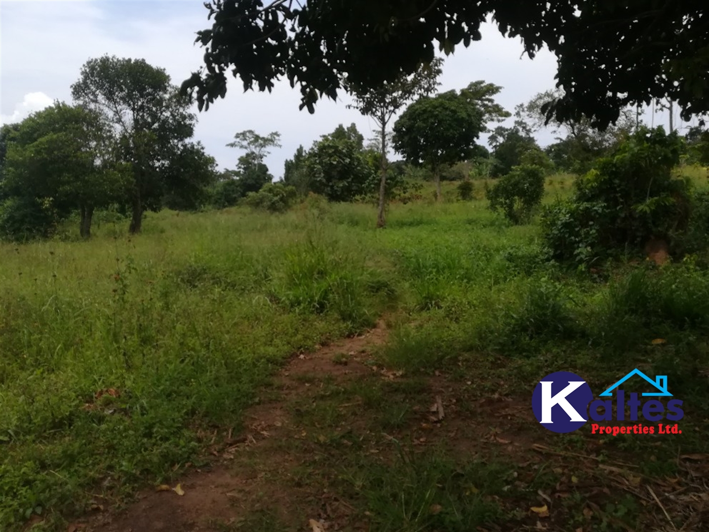 Agricultural Land for sale in Buyiri Buyikwe