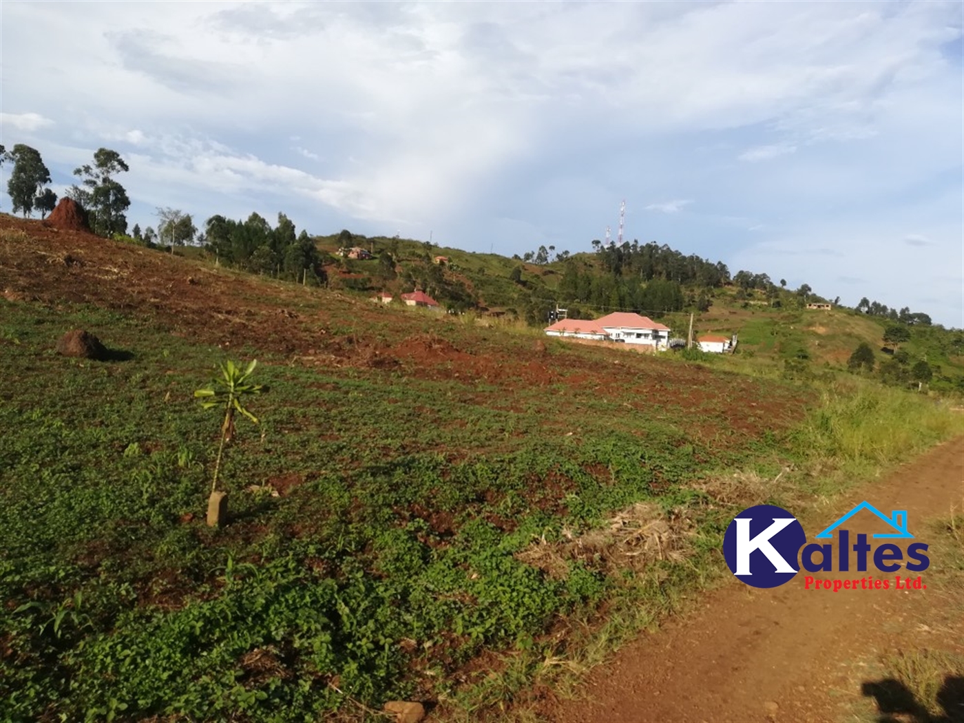 Residential Land for sale in Kiyunga Mukono