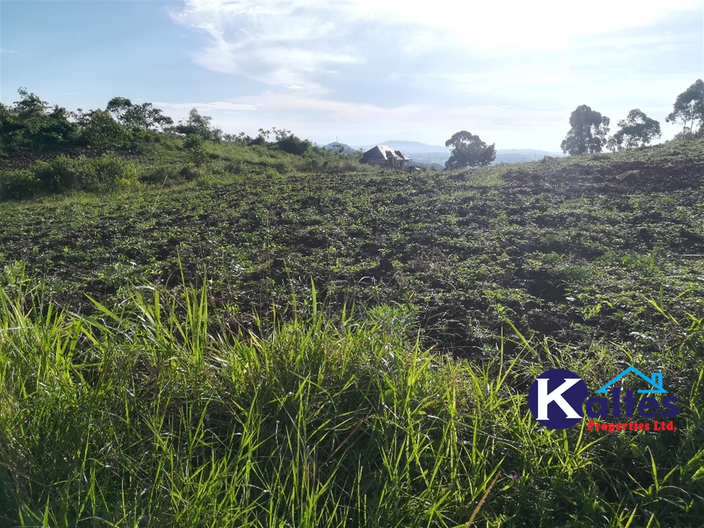 Residential Land for sale in Kiyunga Mukono